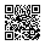 山東魯航咨詢服務有限公司移動站二維碼