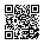 廣西宇輝供應鏈管理有限公司移動站二維碼