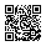 海南新盛洋貿易有限公司移動站二維碼