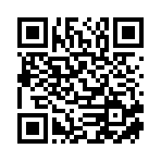 霍爾果斯大洋國際貨運代理有限公司移動站二維碼