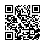 湖北文觀項目管理有限公司移動站二維碼