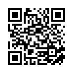 南宮市藝韻工藝品有限公司移動站二維碼