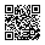 濟寧平拓信息咨詢有限公司移動站二維碼