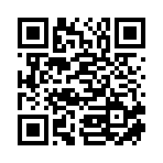 德州盛億信息咨詢有限公司移動站二維碼
