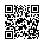 南通麗偉建筑勞務有限公司移動站二維碼