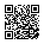 湖北延盛游樂有限公司移動站二維碼
