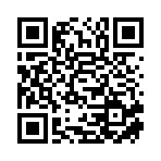 麗水呈司信息科技有限公司移動站二維碼