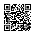 重慶恒風億數字科技有限公司移動站二維碼