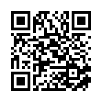 衡陽鉑石電力工程有限公司移動站二維碼