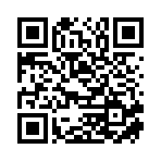 淮南市燈巢互娛文化傳媒有限公司移動站二維碼