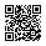 河南灃紋信息技術有限公司移動站二維碼