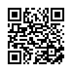 武漢初翎科技有限公司移動站二維碼