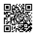 魏縣一諾能源科技有限公司移動站二維碼