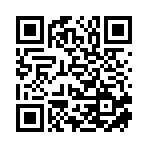 海口沛盈咨詢有限公司移動站二維碼