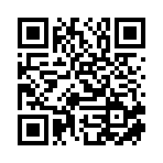廣州海翼報關有限公司移動站二維碼