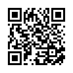 連云港安之途國際貨運代理有限公司移動站二維碼