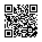 上海狄紳信息科技有限公司移動站二維碼
