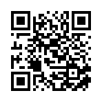 大連特豪藝信息科技有限公司移動站二維碼