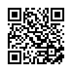 上海晨盛通貿易有限公司移動站二維碼